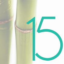 15 alkalomra szóló jóga bérlet